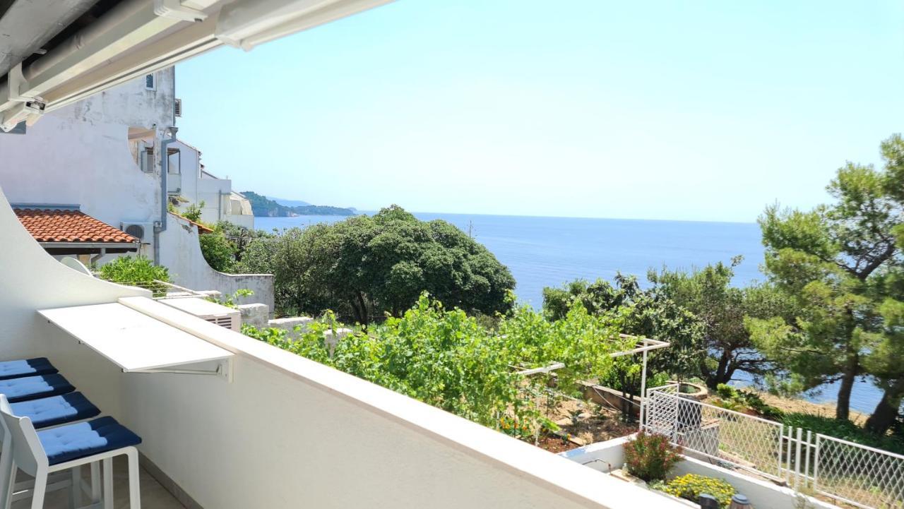 Pearl Of Adriatic 4 * 杜布罗夫尼克
